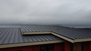 Best 4 Ply Roofing  in Willows, CA